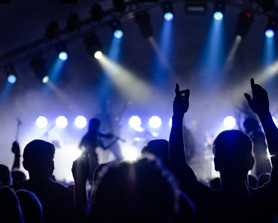 Juichend publiek concert