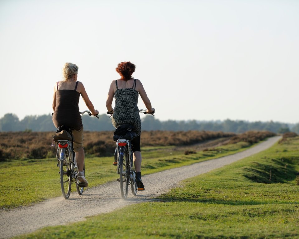 vraagelkaar fietsen