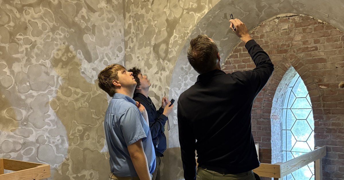 Vleermuizen tellen in de kerktoren