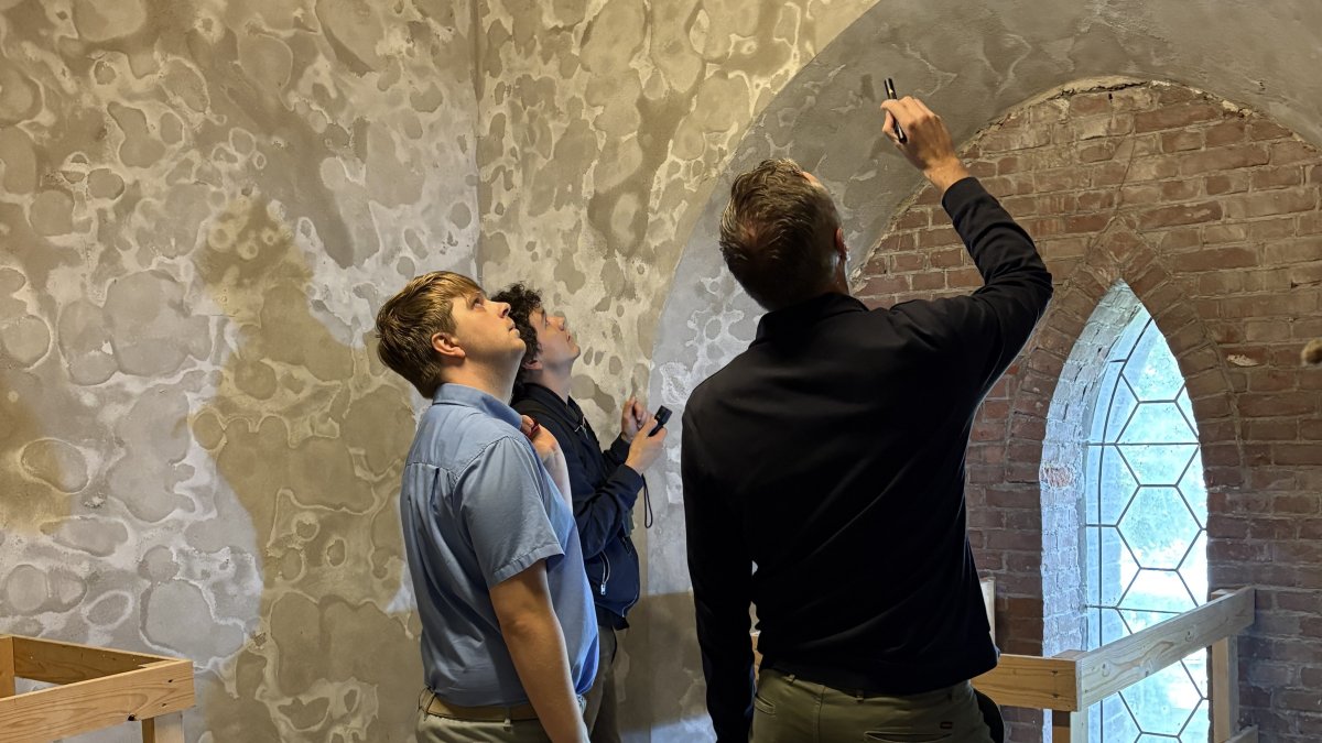 Vleermuizen tellen in de kerktoren