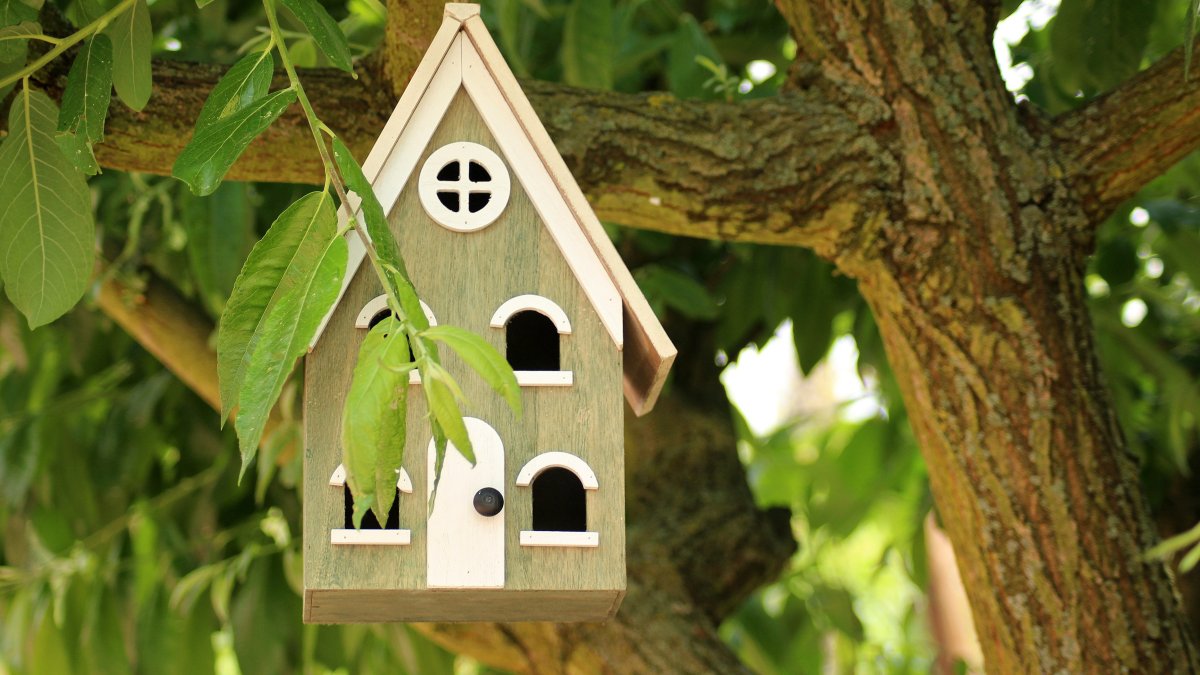 Hoe kunt u zo lang mogelijk prettig en zelfstandig blijven wonen?