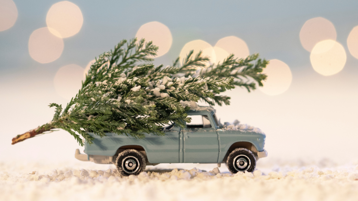 Hier levert u de kerstboom in!