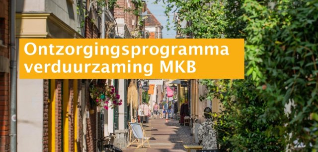 Bekijk de presentatie