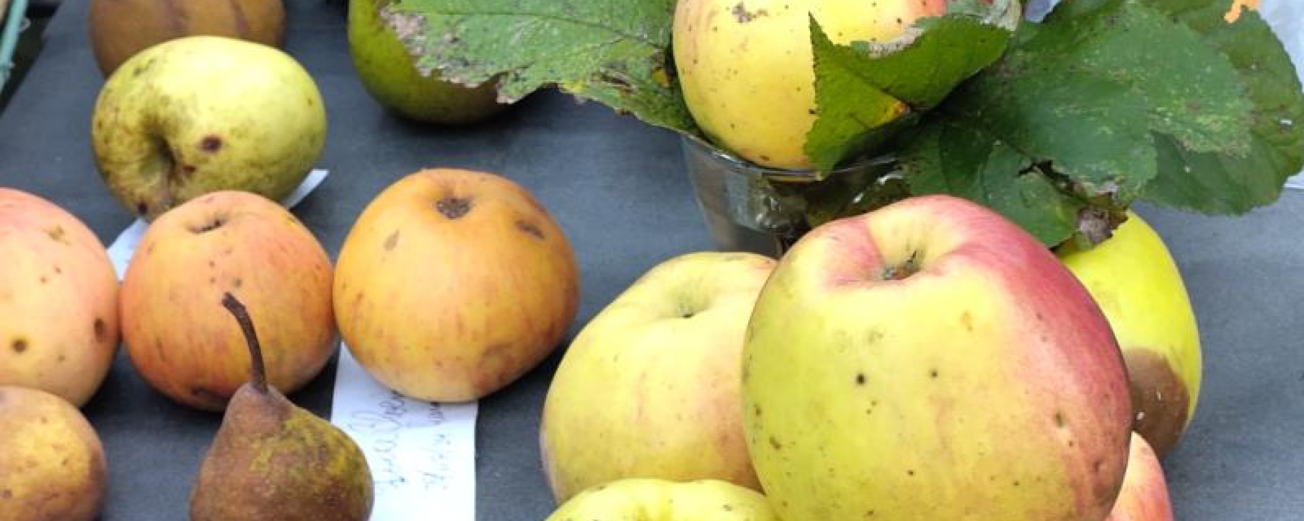 Verschillende appeltjes liggen te drogen