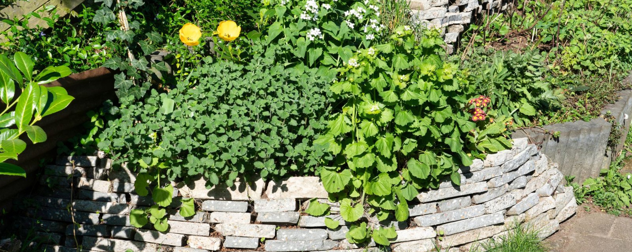 Groene tuin met een muurtje van oude tegels