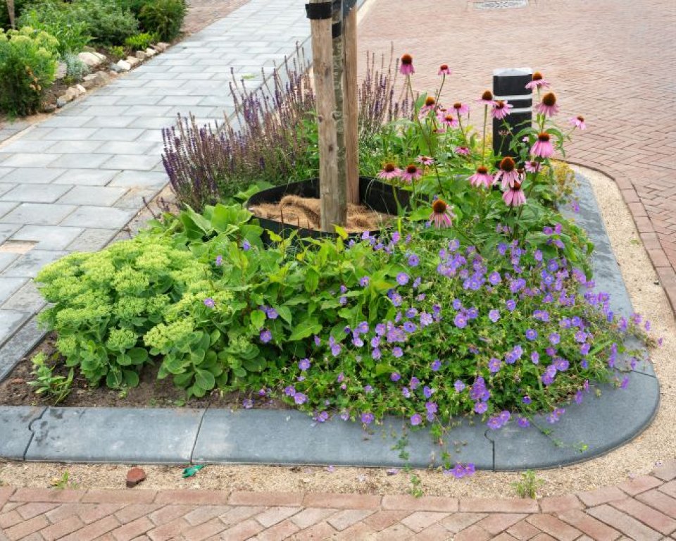 Groen en bloemen rond een boompje in een nieuwbouwwijk