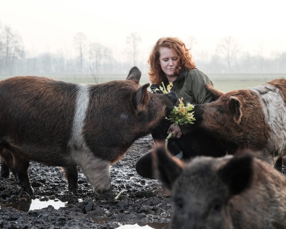 Inge Vleemingh van De Goed Gevulde met drie varkens