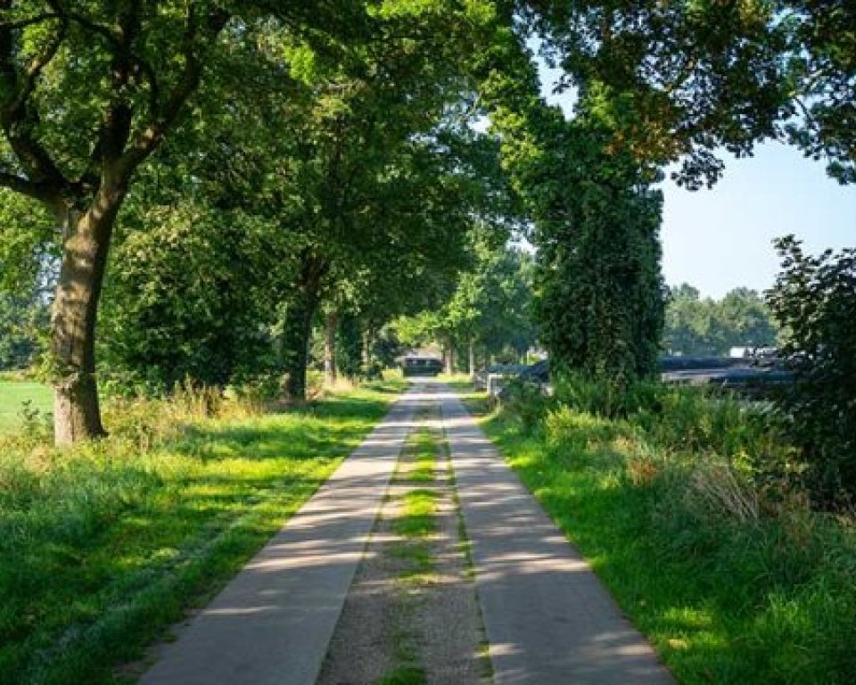 Zicht op pad omzoomt met bomen en weilanden