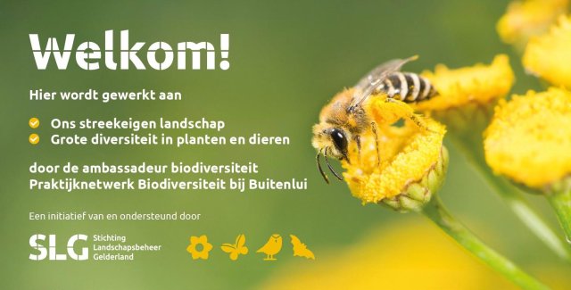 Banner over ambassadeurs netwerk met een afbeelding van een bij op een bloen