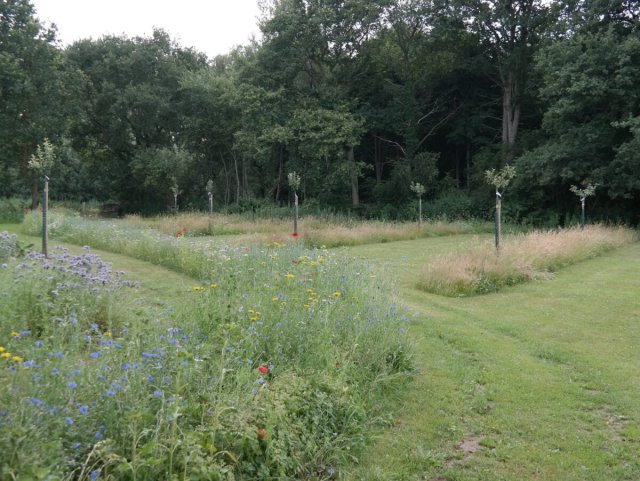 Boomgaard en bloementuin van Bert Wisselink