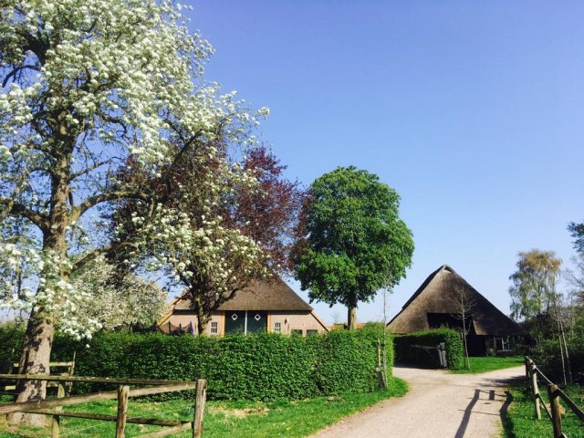 Boerderij De Zelst Vorden