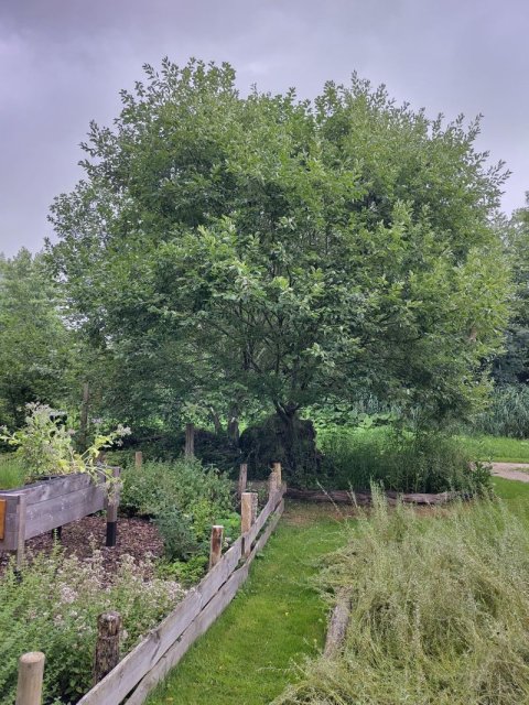 Kruidentuin en vlastuin