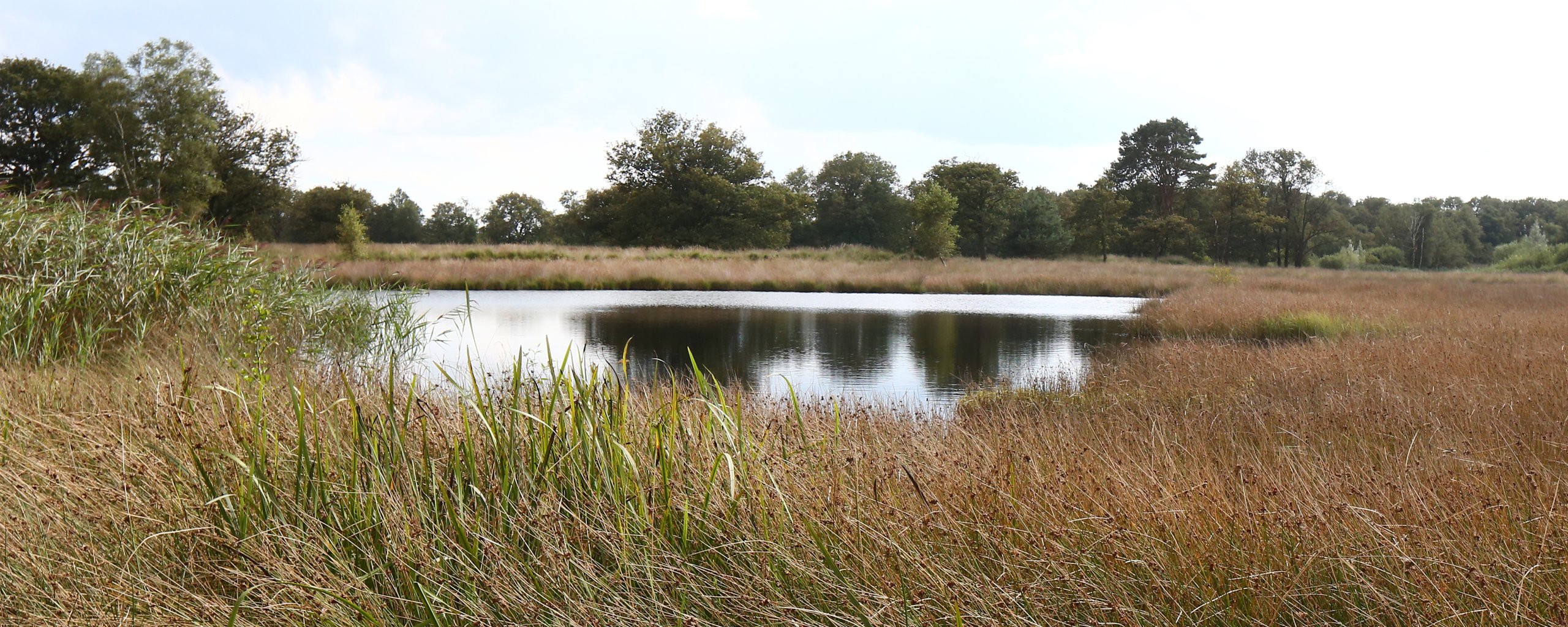 Weinjeterper Skar in Wijnjewoude