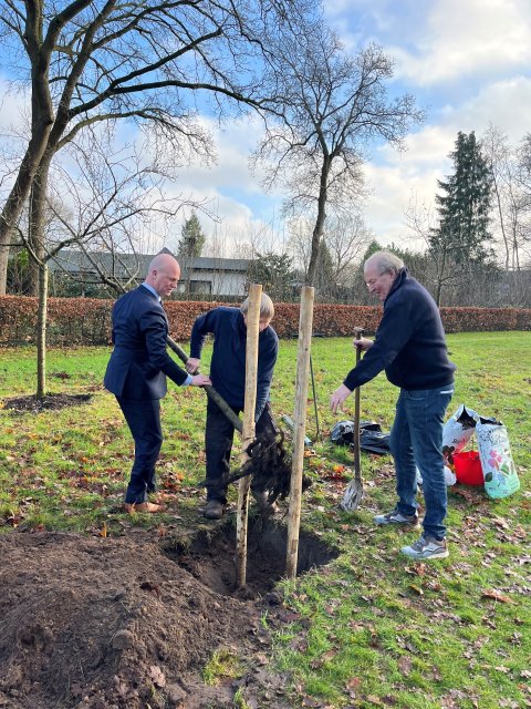 Bloeizone appelboom