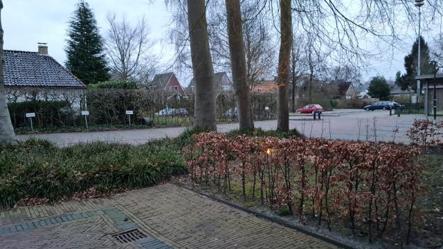 Vroeg uit de veren