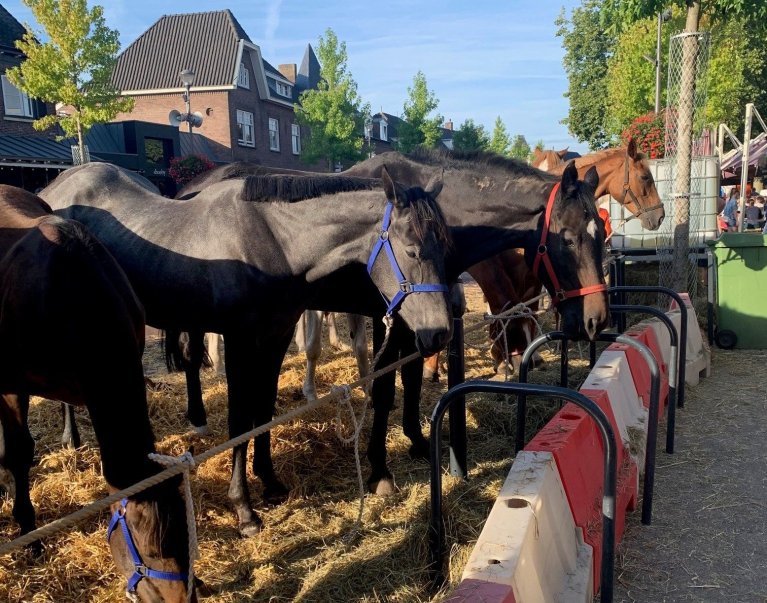 Paardenmarkt dorpstraat