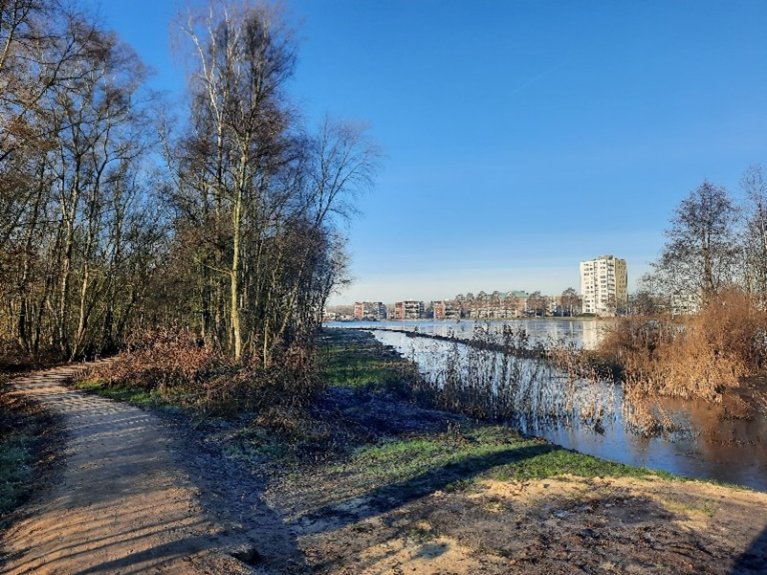 Het gebied halve manen bij het Paterswoldsemeer