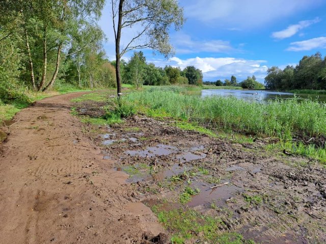 Woudzandpad: het nieuwe aangelegde woudzandpad langs Halve Manen langs de noordoosthoek van het Paterswoldsemeer