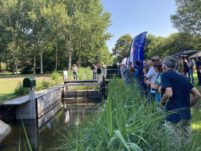 Projectleden, samenwerkingspartners en omwonenden kijken aan de rand van de watergang toe hoe de stuw in werking wordt gesteld en het water vanuit het Paterswoldsemeer richting Piccardthofplas wordt afgevoerd. 