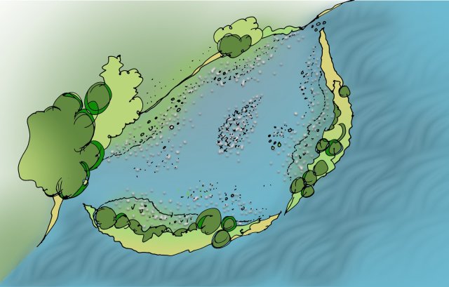 Een schets van een natuurvriendelijke zone en een dwarsdoorsnede van een flauw aflopende oever