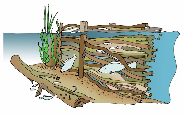 Een schets van een vissenbos; een gebundelde bos takken onder water waar vissen en waterbeestjes kunnen schuilen