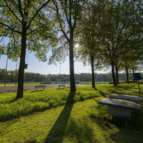 Sportvelden met pingpongtafel