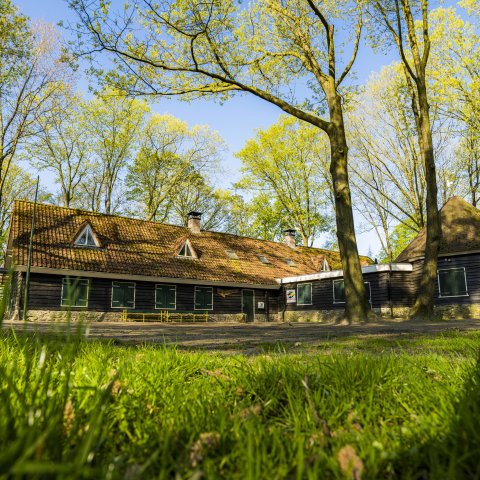 Houten gebouw in groene omgeving