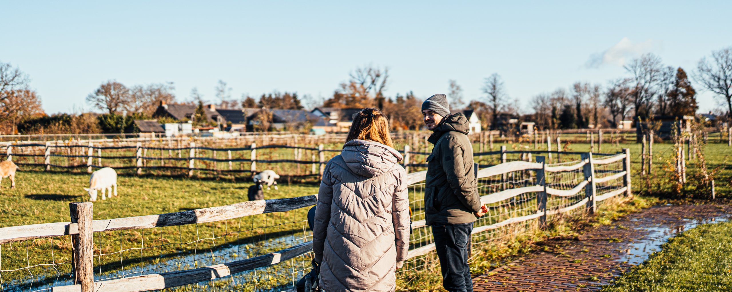 Twee collega's kijken uit over weiland