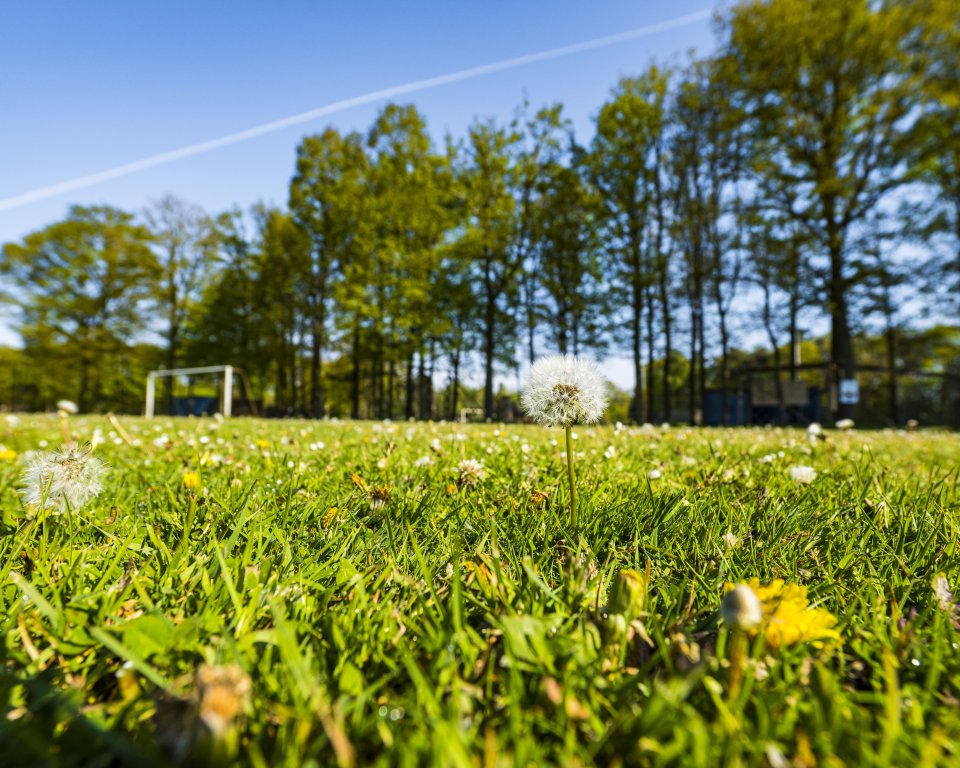 voetbalveld met goal
