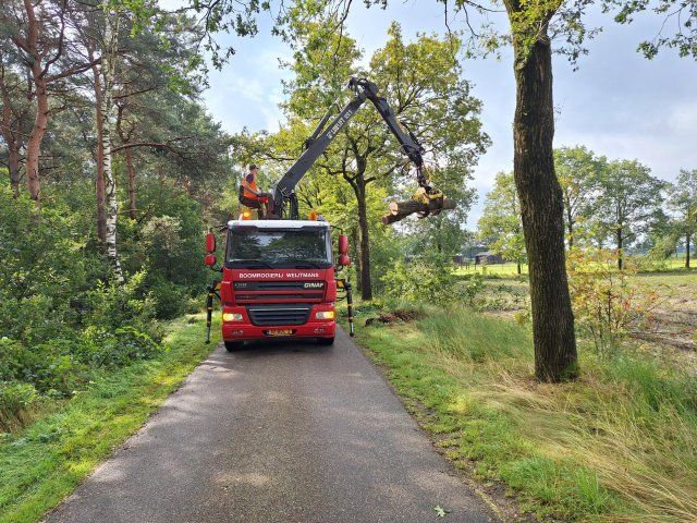 omgevallen bomen langs de weg met hulpdiensten die de bomen opruimen