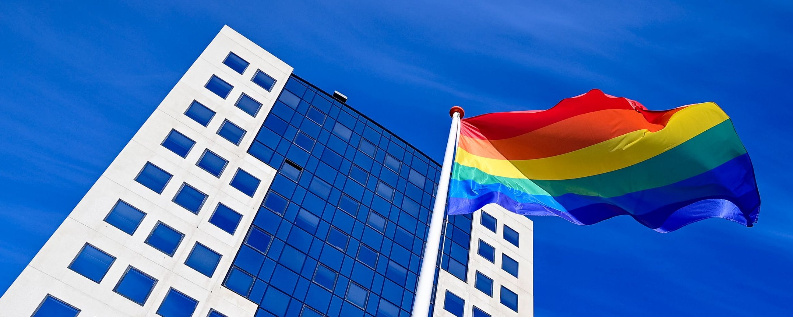 Regenboogvlag voor gemeentehuis
