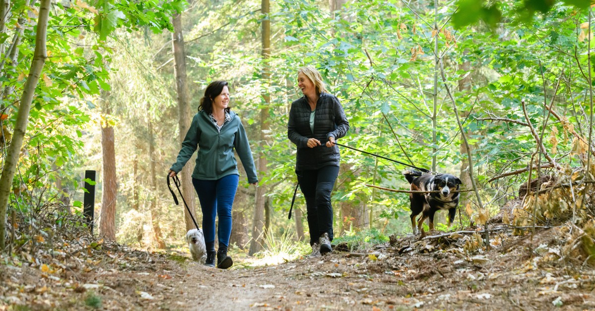 Teaser Samenwerken aan gezond Deurne, 2 personen en een hond wandelend in het bos.