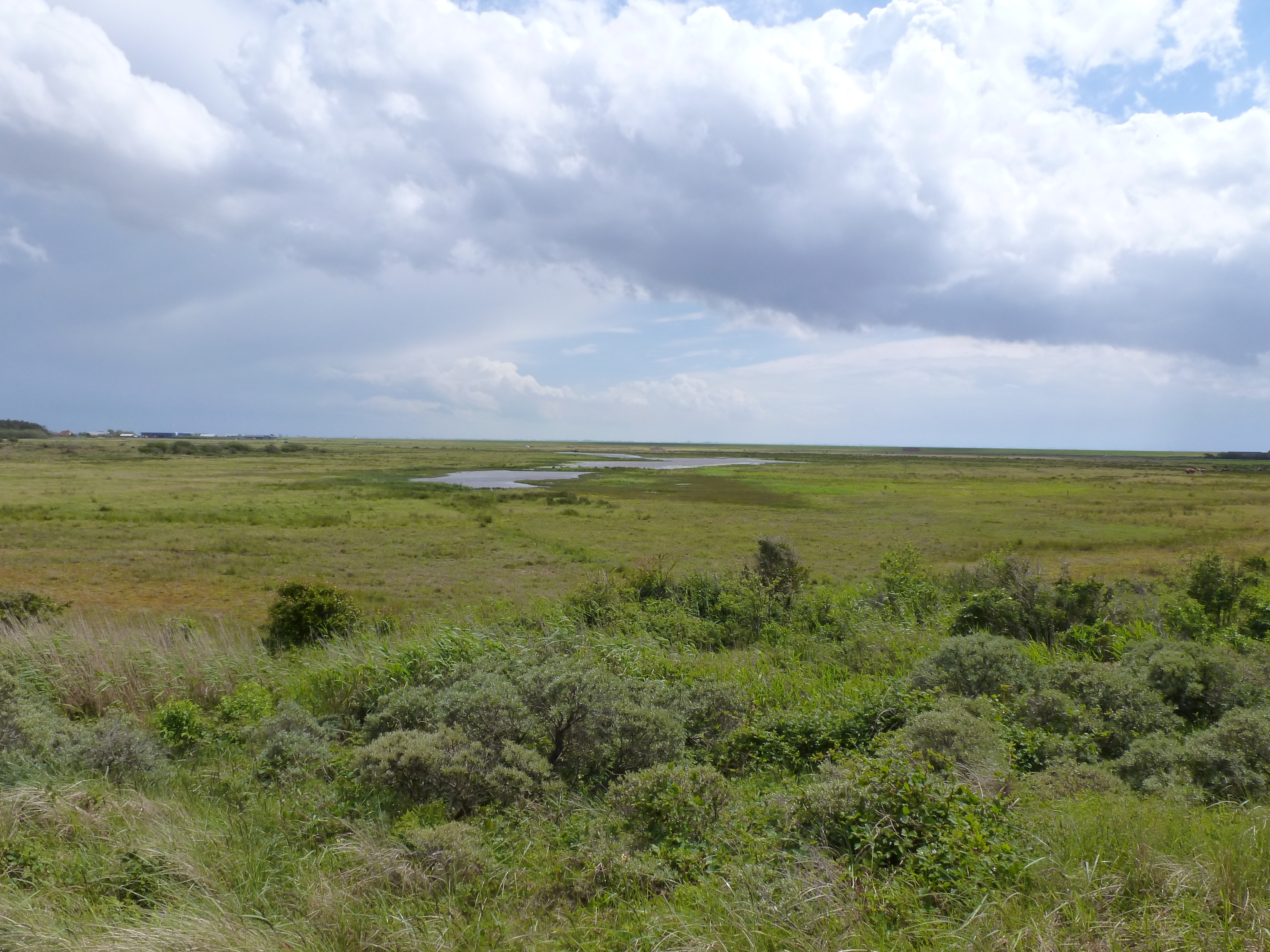 Gebied op Ameland. Een groen veld met in de verte een klein meertje en een bewolkte hemel.