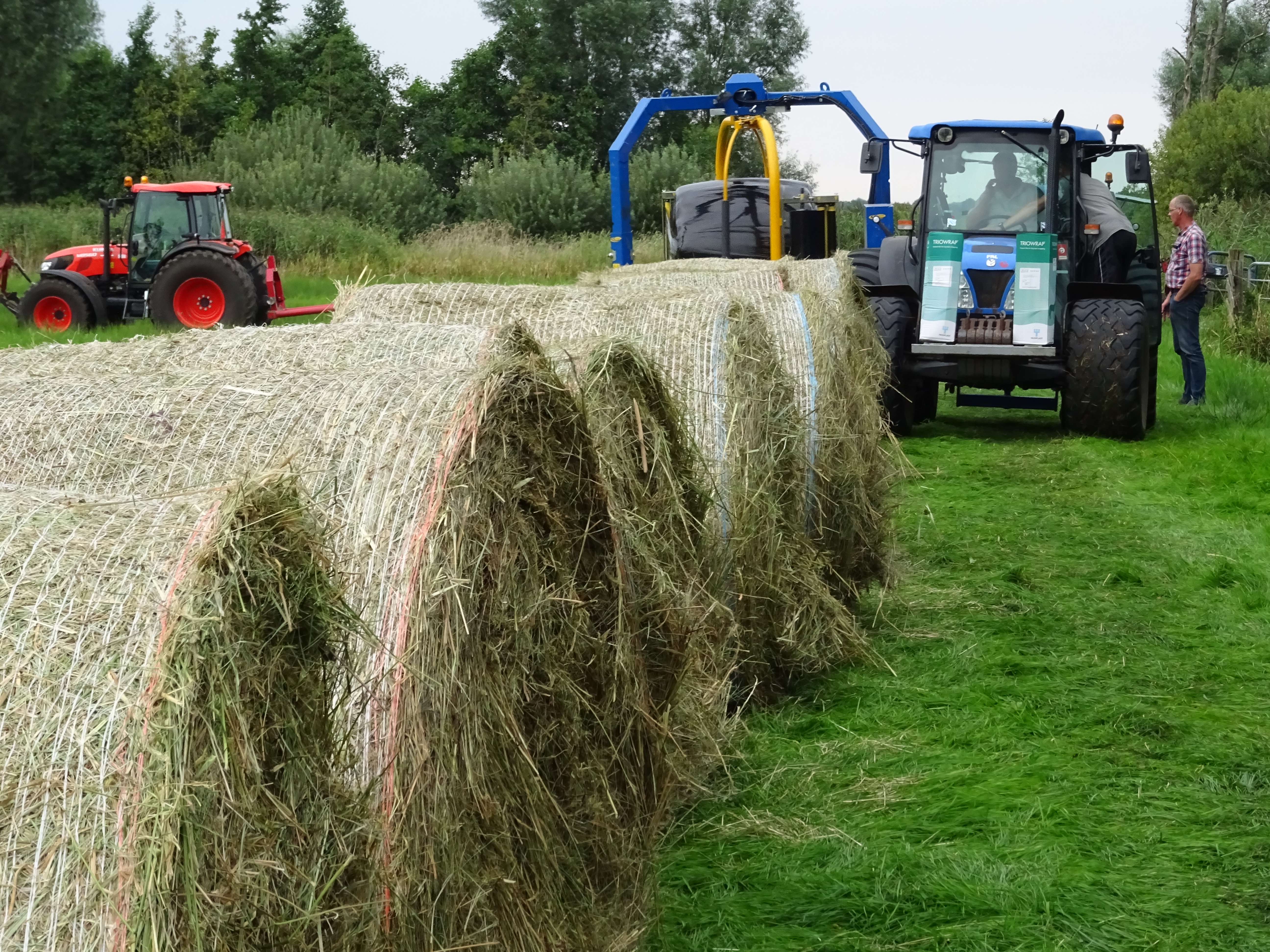 Een blauwe en een rode tractor die het hooi inpakken in zwart plastic.