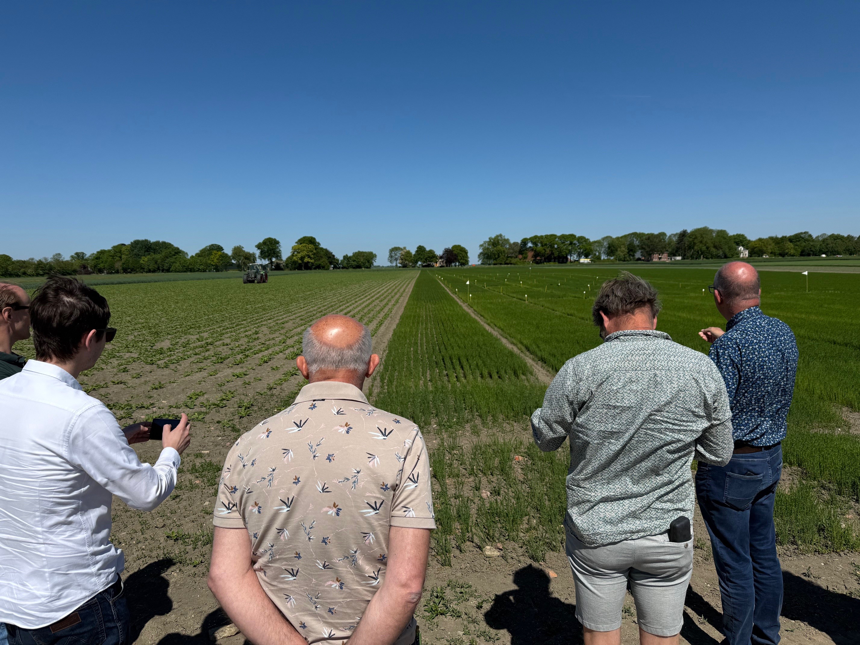 Er staan een viertal personen met de rug naar de camera uit te kijken op een heel groot bietenveld. In de verte rijdt een tractor.