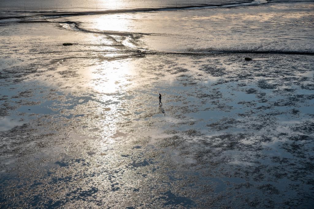 Er loopt in de verte 1 persoon alleen op het natte wad.