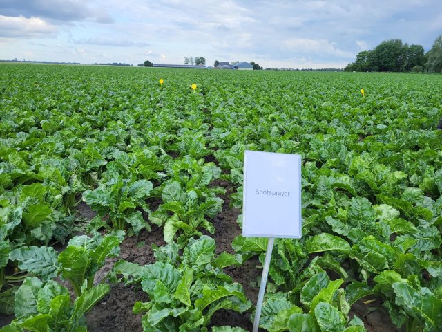 Een veld vol groene gewassen met een bordje waar spotsprayer op staat.