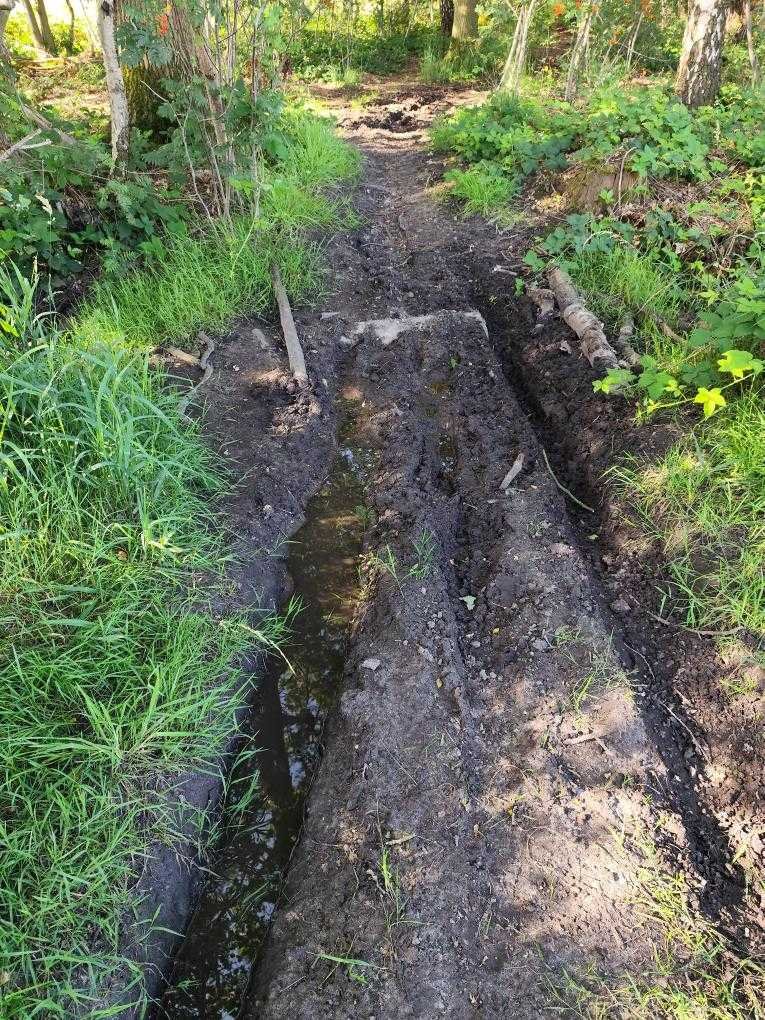 Sporen van motorcrossers in het bos