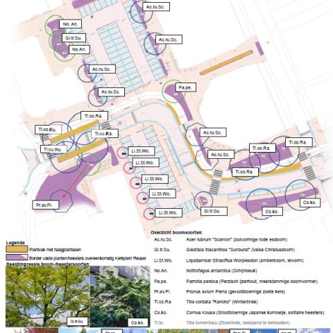Groenplan voor nieuwe Markt