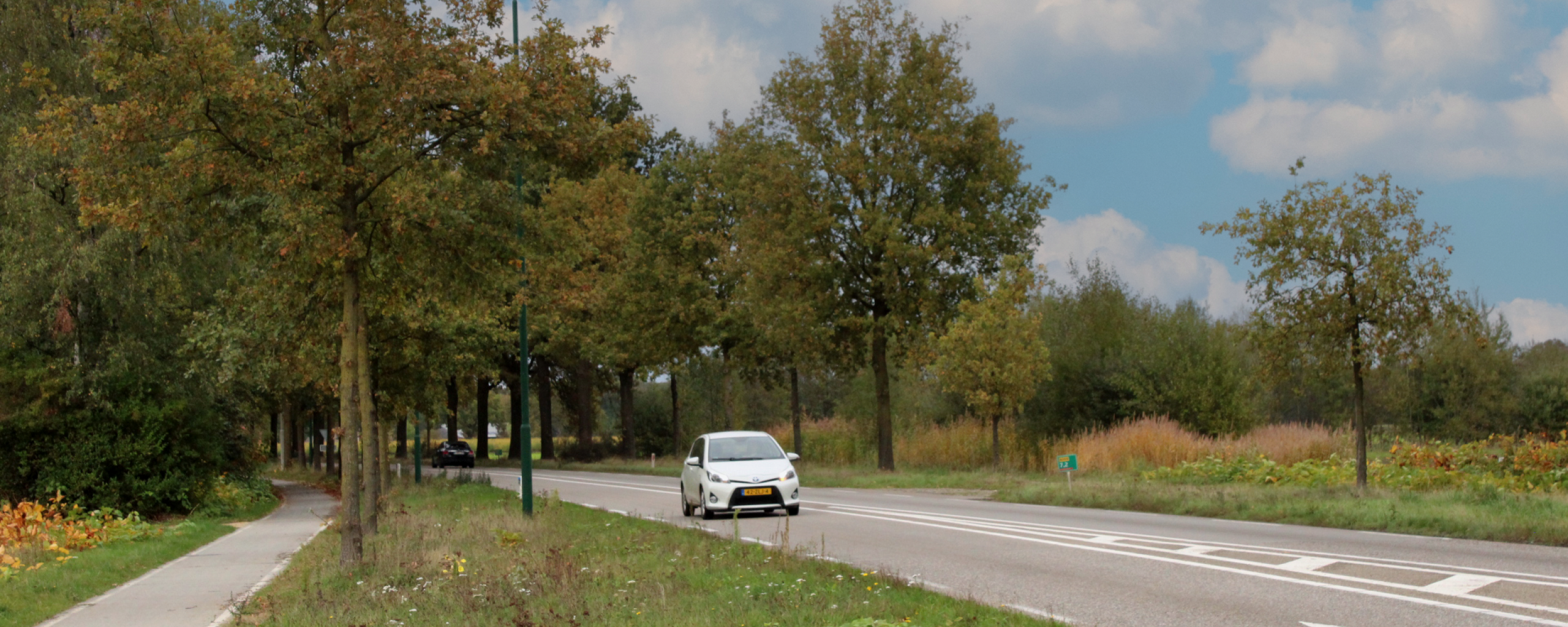 Auto op provinciale weg