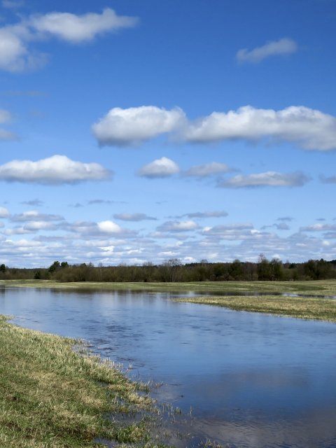 Op de foto: grondwateroverlast