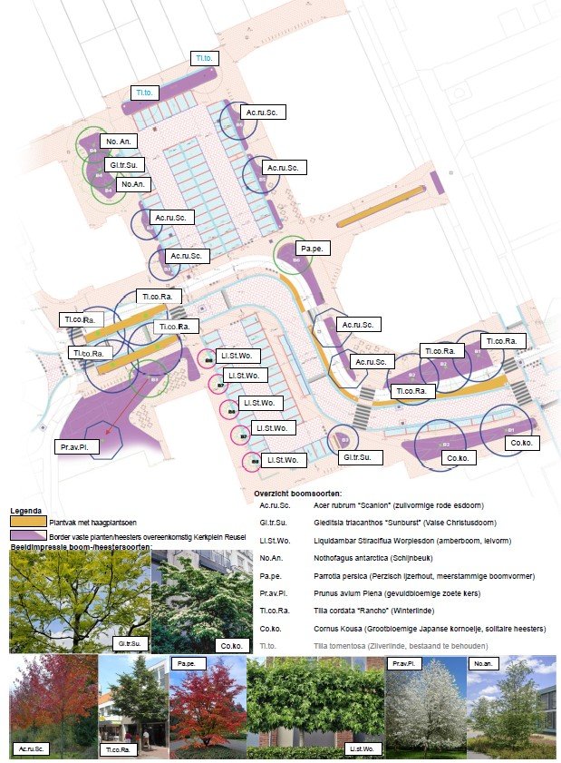 Ontwerp groenplan voor Markt
