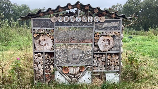 Insectenhotel in het Voedselbos Lage Mierde