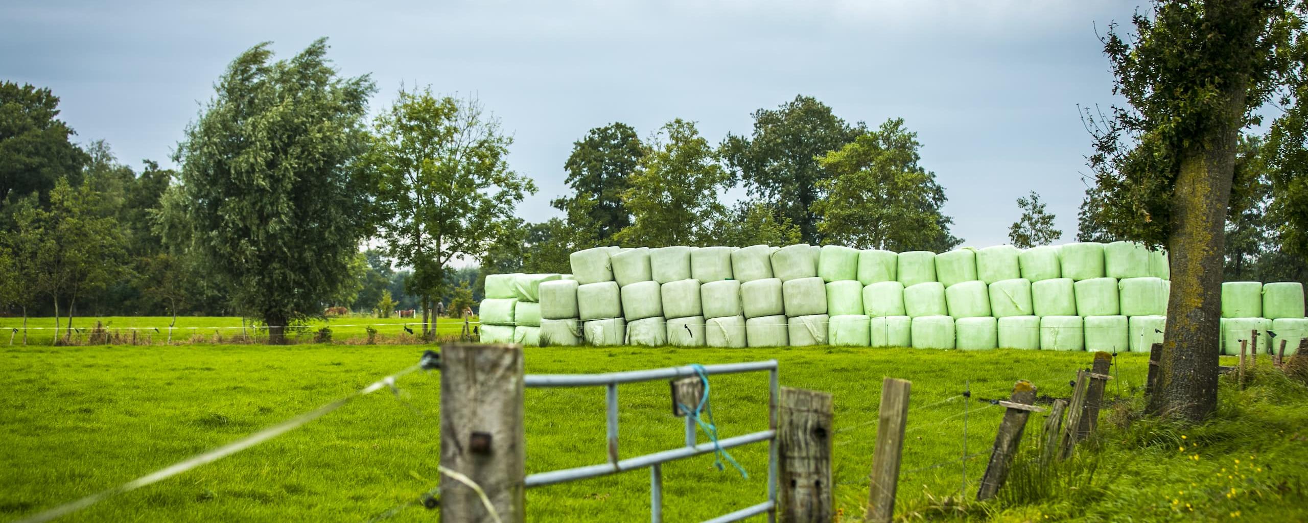 Hooibalen in het land (omgeving Westerkwartier)