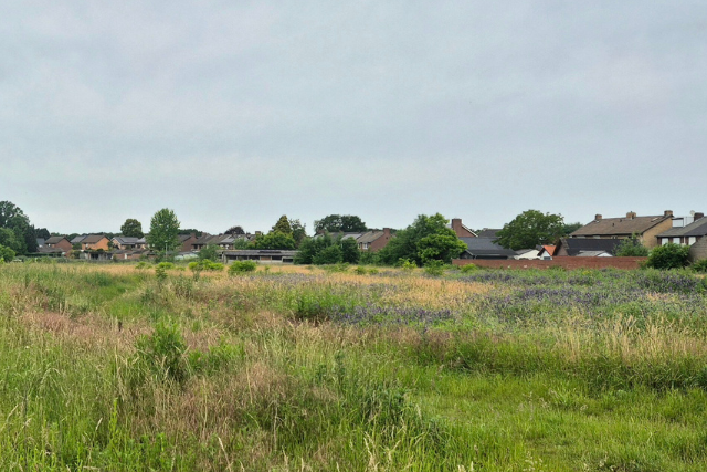 De bestaande weilanden aan De Donck in Posterholt.