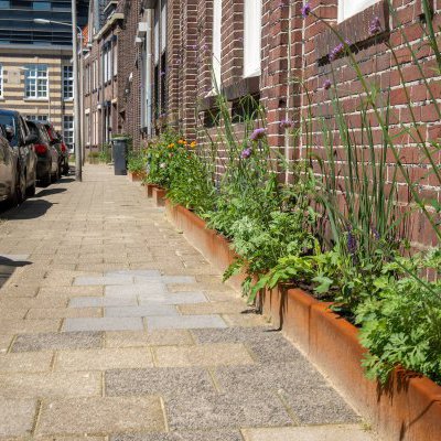 de nieuwe geveltuinen aan de Oude Lindestraat in Heerlen