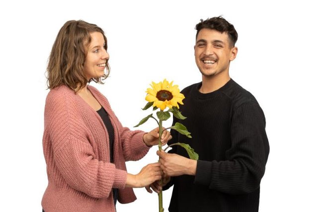 Zonnebloem overhandigen