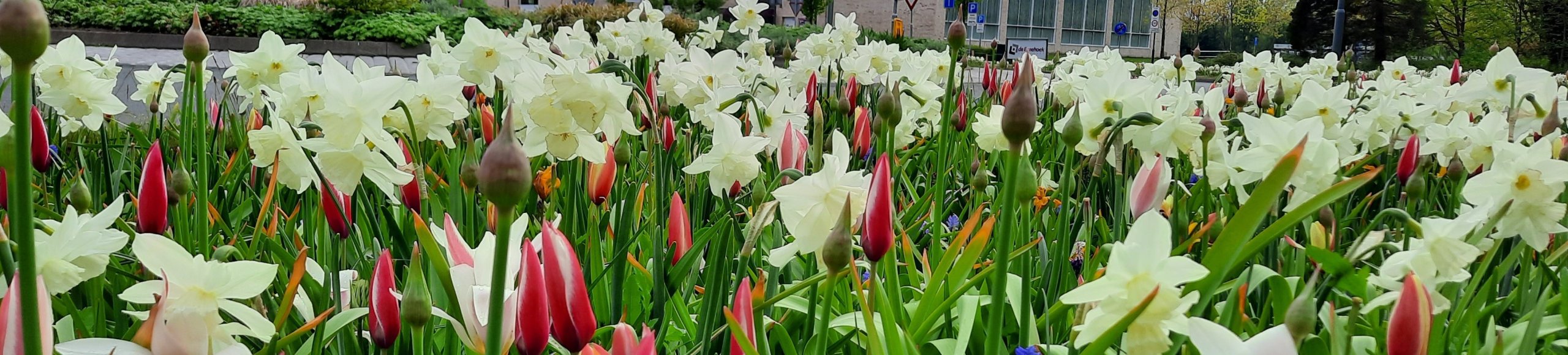 Home Gemeente Scherpenzeel