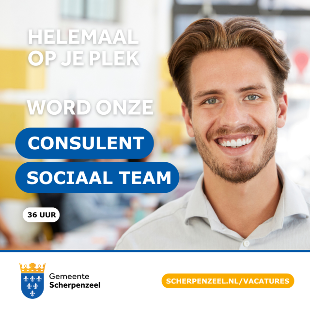 Consulent Sociaal Team 