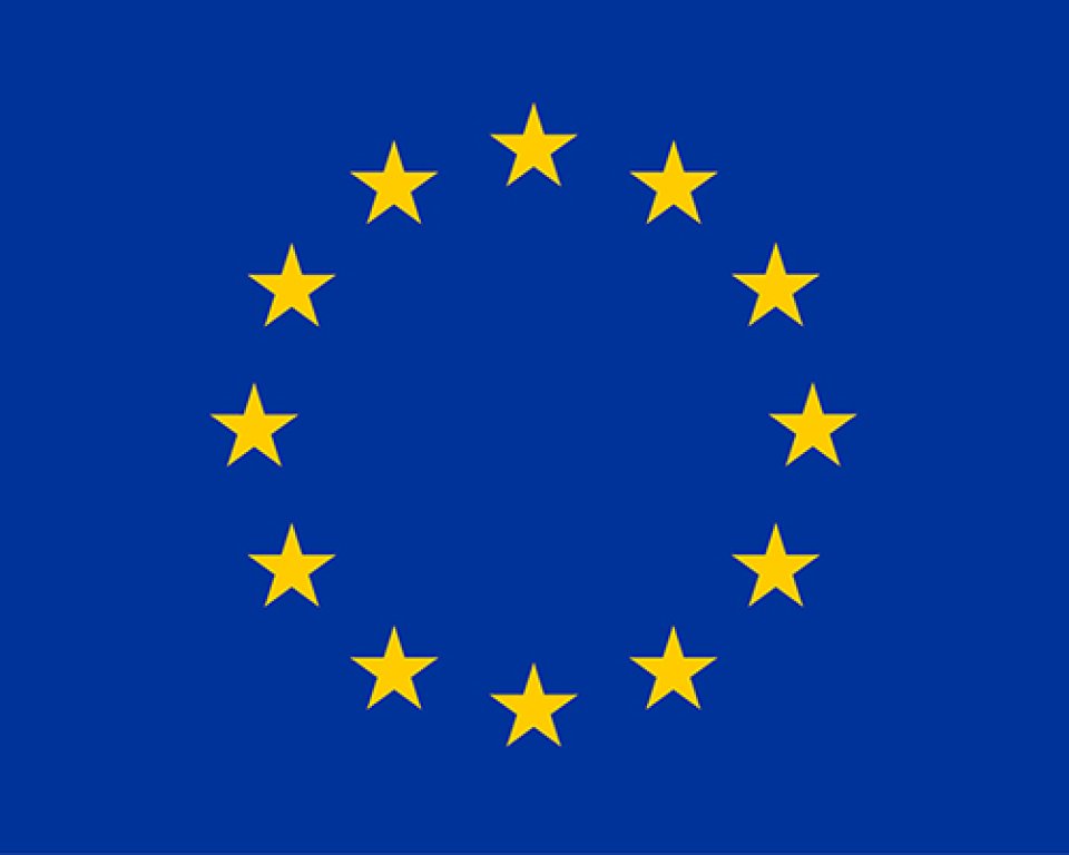 Europeeske flagge